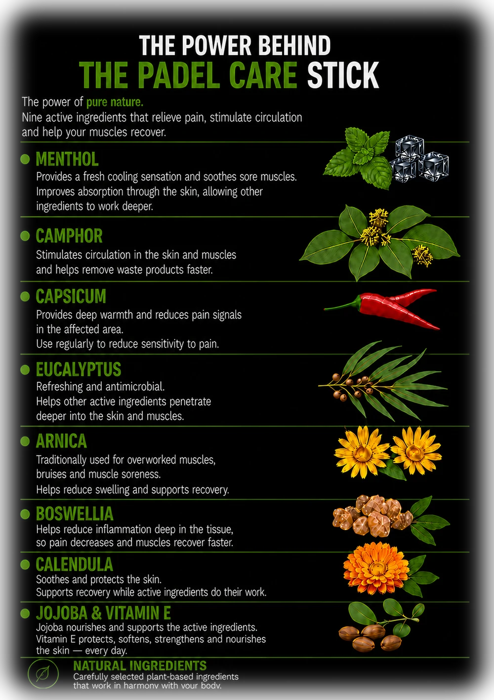 The power behind the PADEL CARE Stick — nine active ingredients