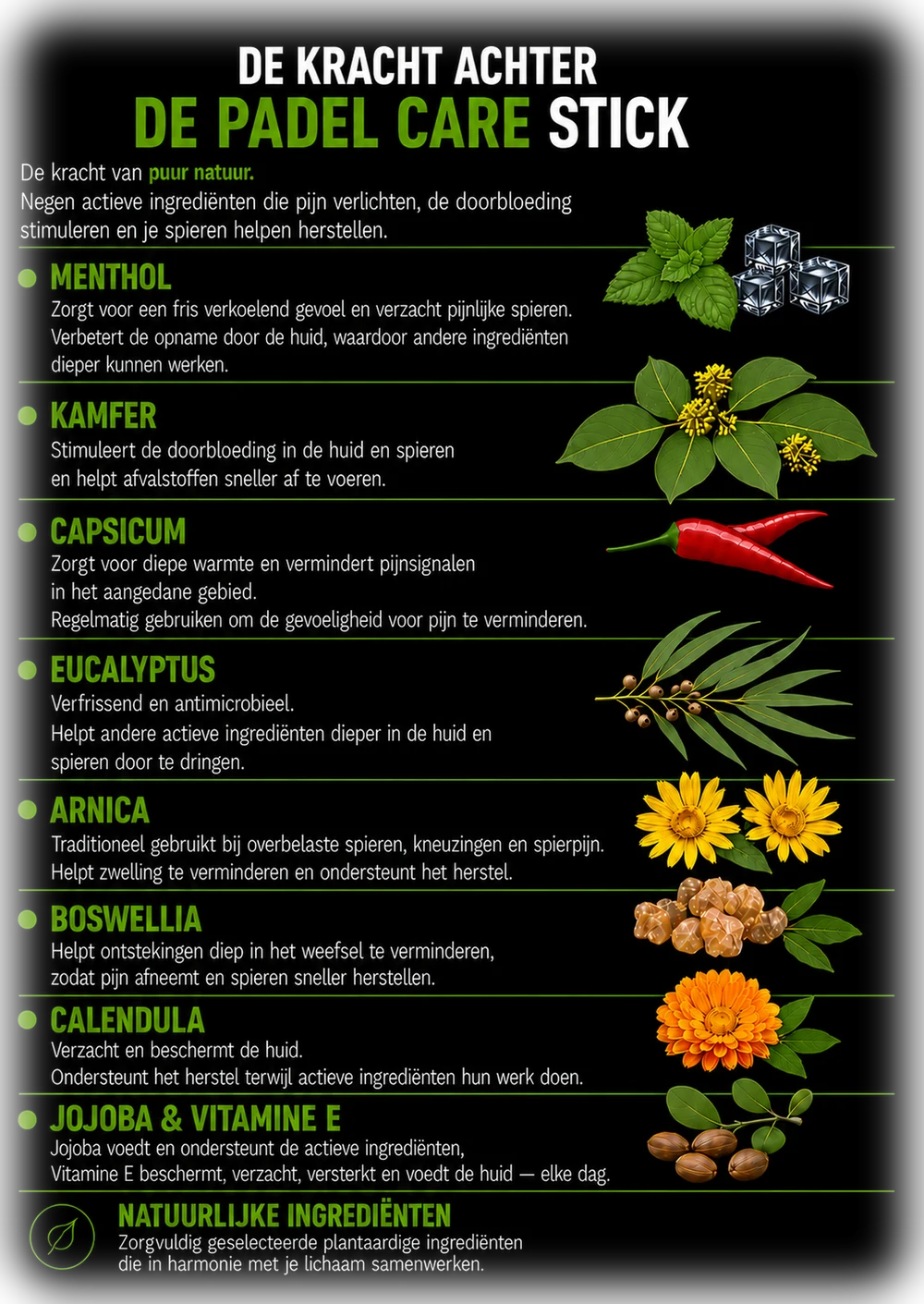 De kracht achter de PADEL CARE Stick — negen actieve ingrediënten
